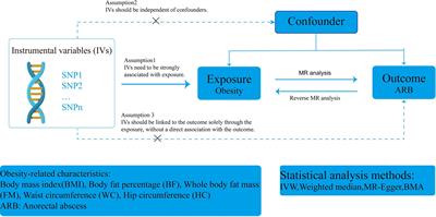 Causal relationship between obesity and anorectal abscess: a Mendelian randomization study